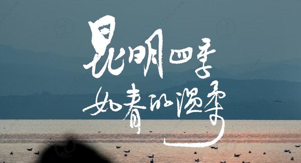 叶根友携手字体家AI神笔造字:重塑《昆明的阳光》的视觉体验